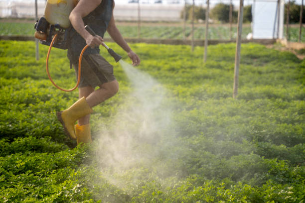 Best Pest Removal Services  in Paramount, CA