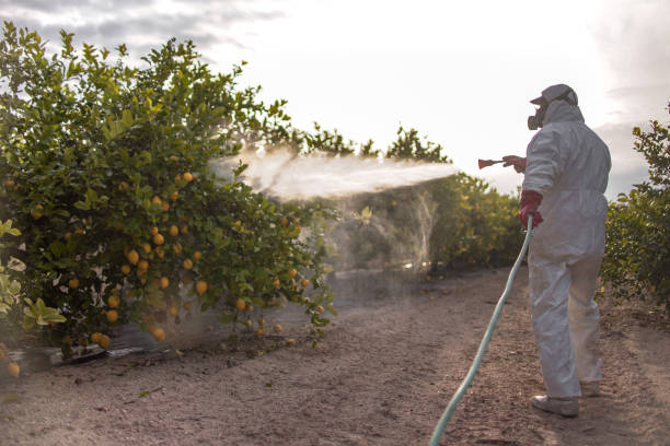 Professional Pest Control in Paramount, CA