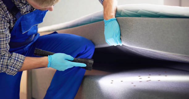 Best Wasp Removal Services  in Paramount, CA