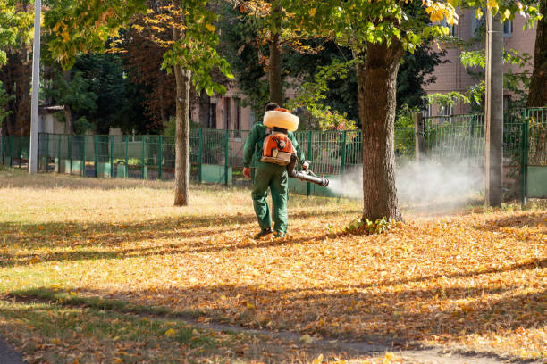 Best Best Pest Control Companies  in Paramount, CA