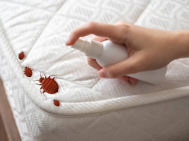 Best Pest Prevention Services  in Paramount, CA