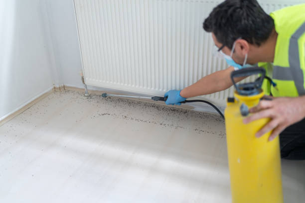 Best Best Pest Control Companies  in Paramount, CA